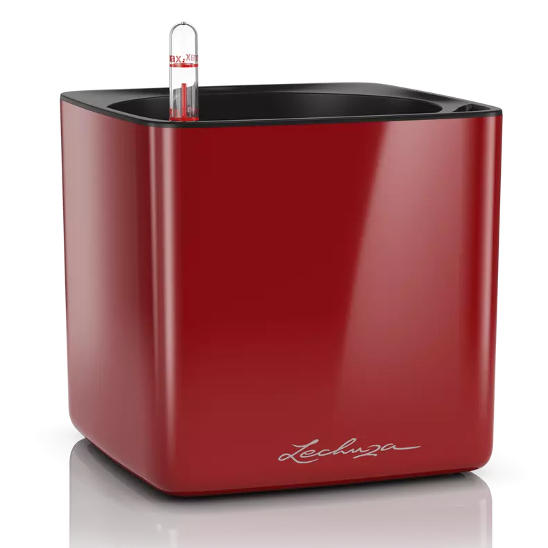 Lechuza Cube Glossy 16 Scarlet Red High-Gloss