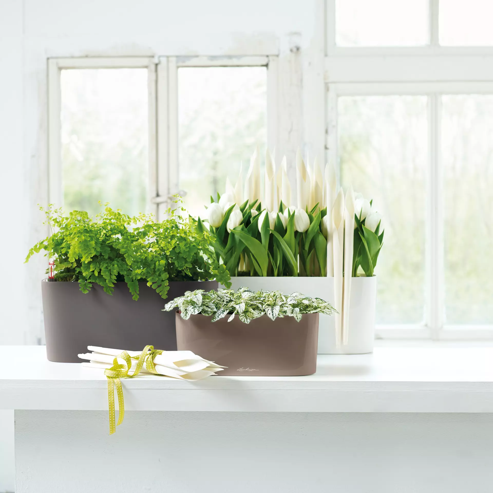 Lechuza Delta 20 White High-Gloss - Image 3