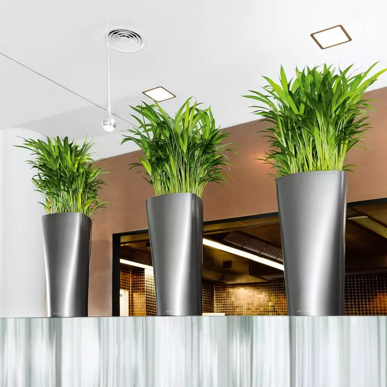 Lechuza Premium Delta 30 Charcoal Metallic - Image 5