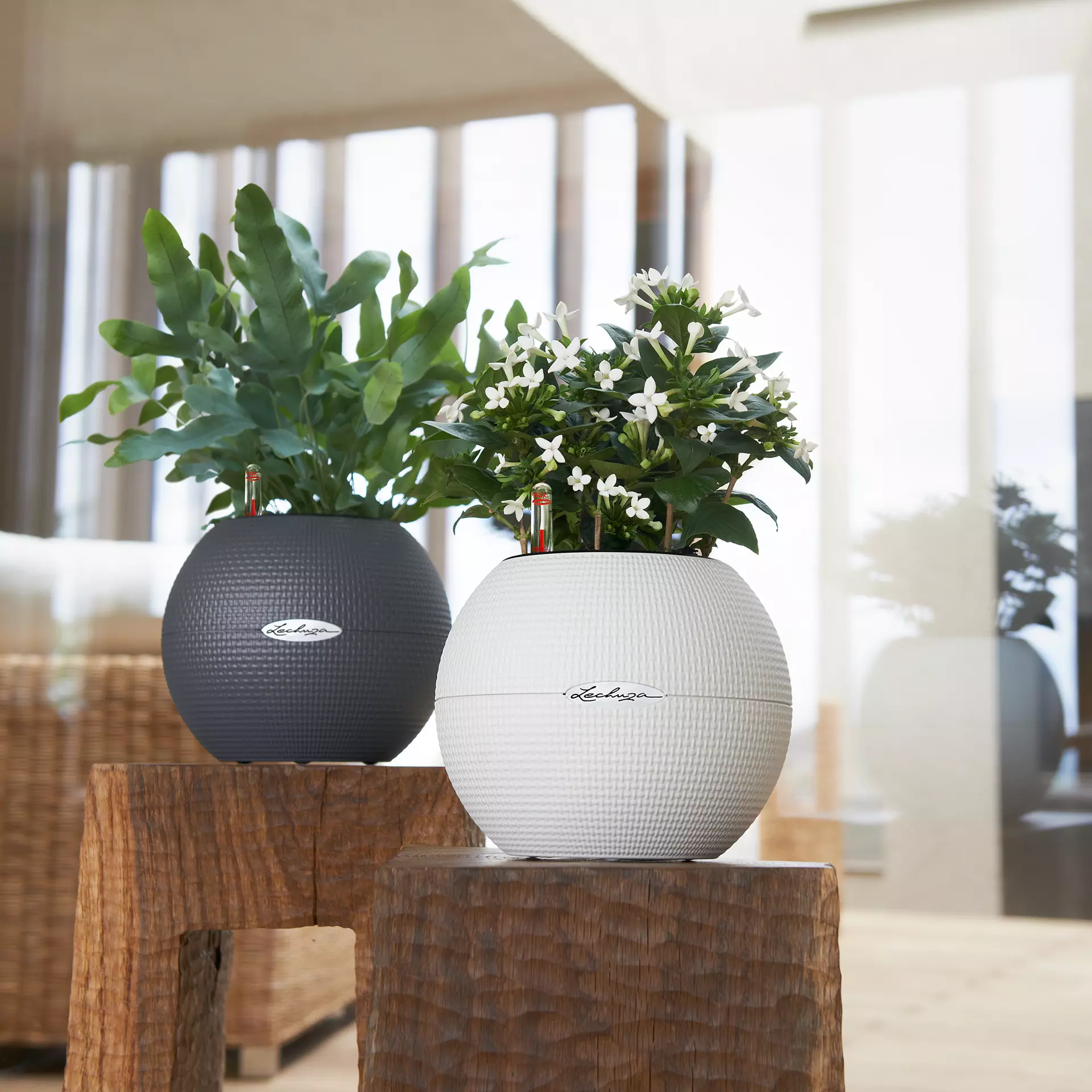 Lechuza Γλάστρα Puro 20 Sand Brown - Image 6