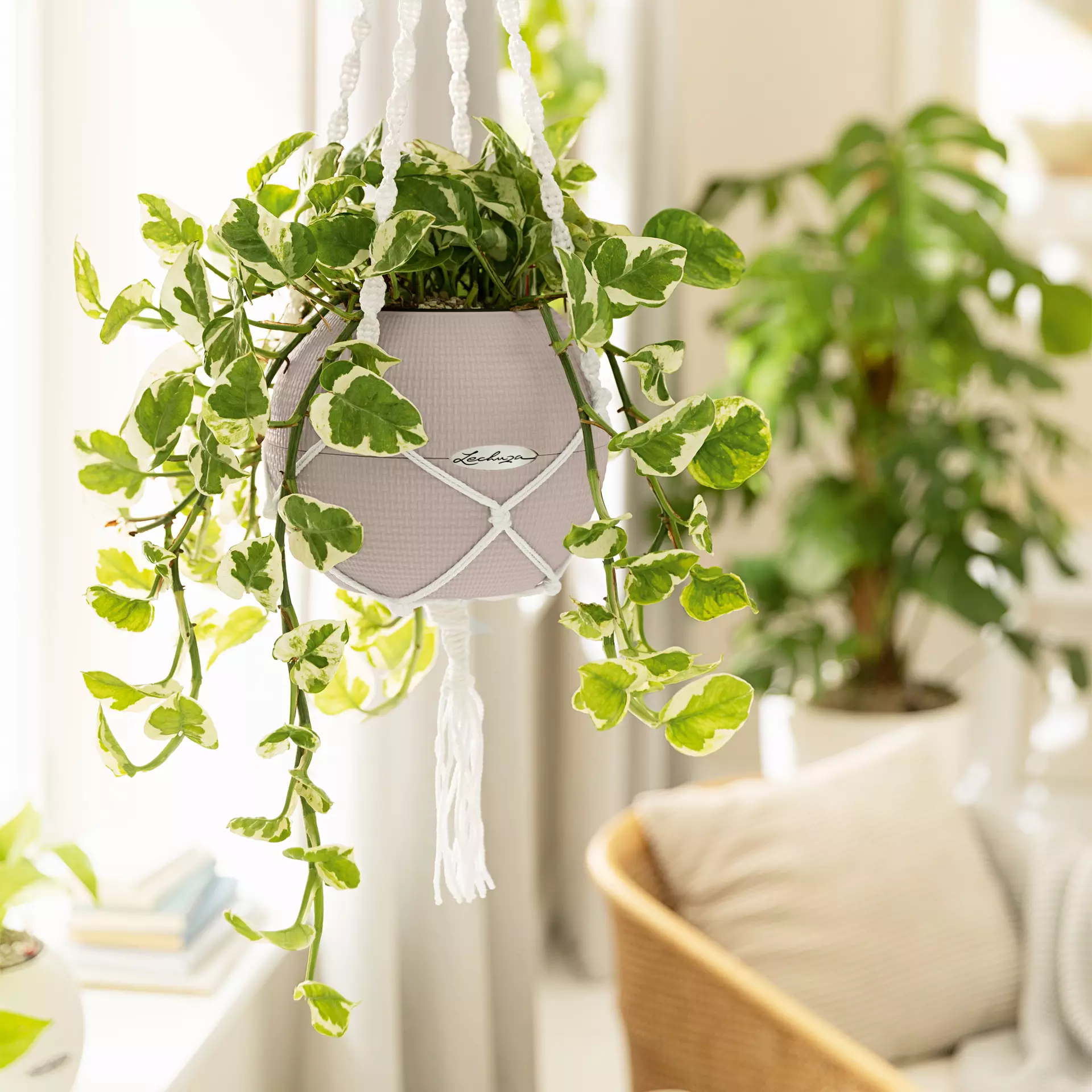 Lechuza Γλάστρα Puro 20 Sand Brown - Image 7