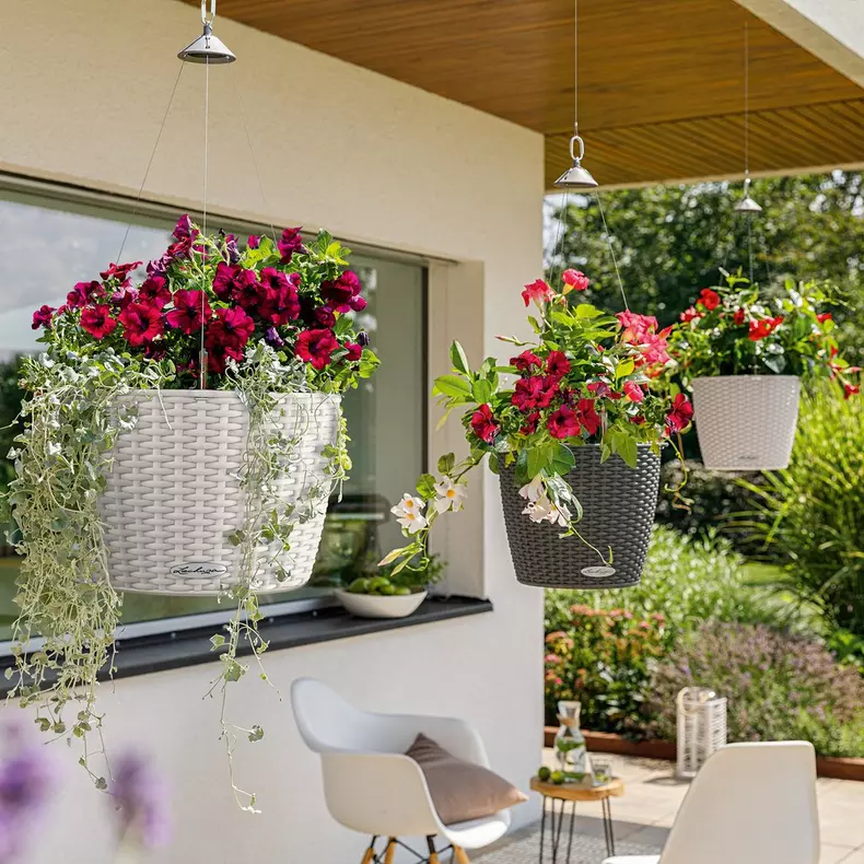 Lechuza Nido Cottage 28 Mocha - Image 7