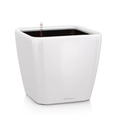 Lechuza Quadro LS 21 White High-Gloss
