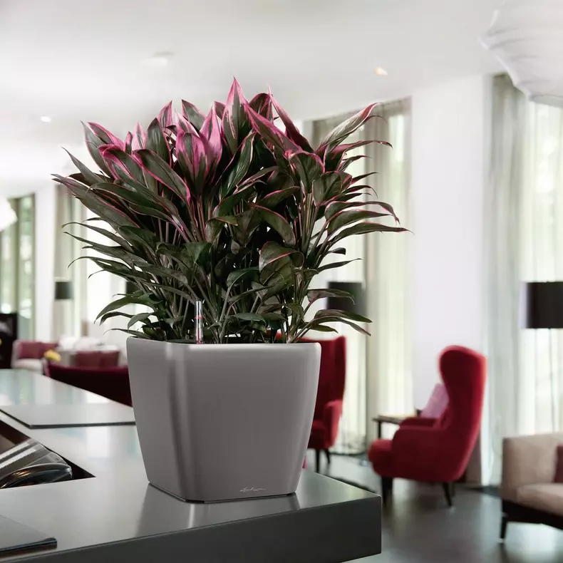 Lechuza Quadro LS 28 charcoal metallic - Image 7