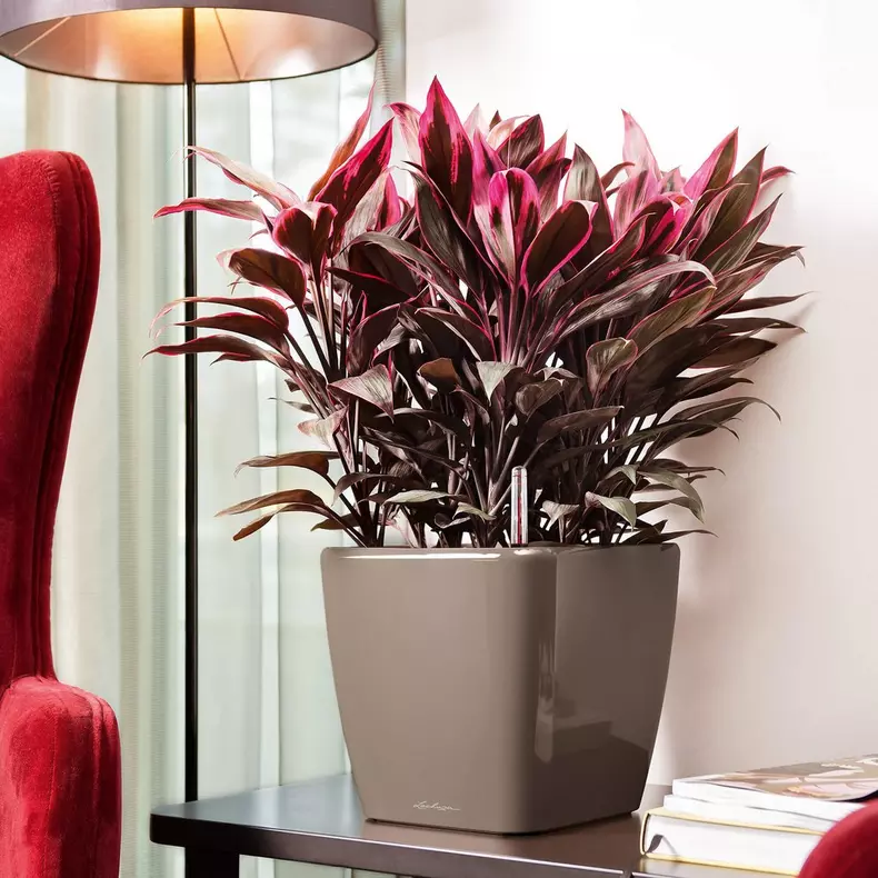 Lechuza Quadro LS 28 charcoal metallic - Image 6