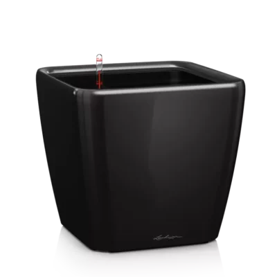 Lechuza Quadro LS 28 black high-gloss