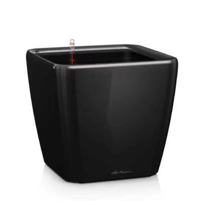 Lechuza Quadro LS 35 Black High-Gloss