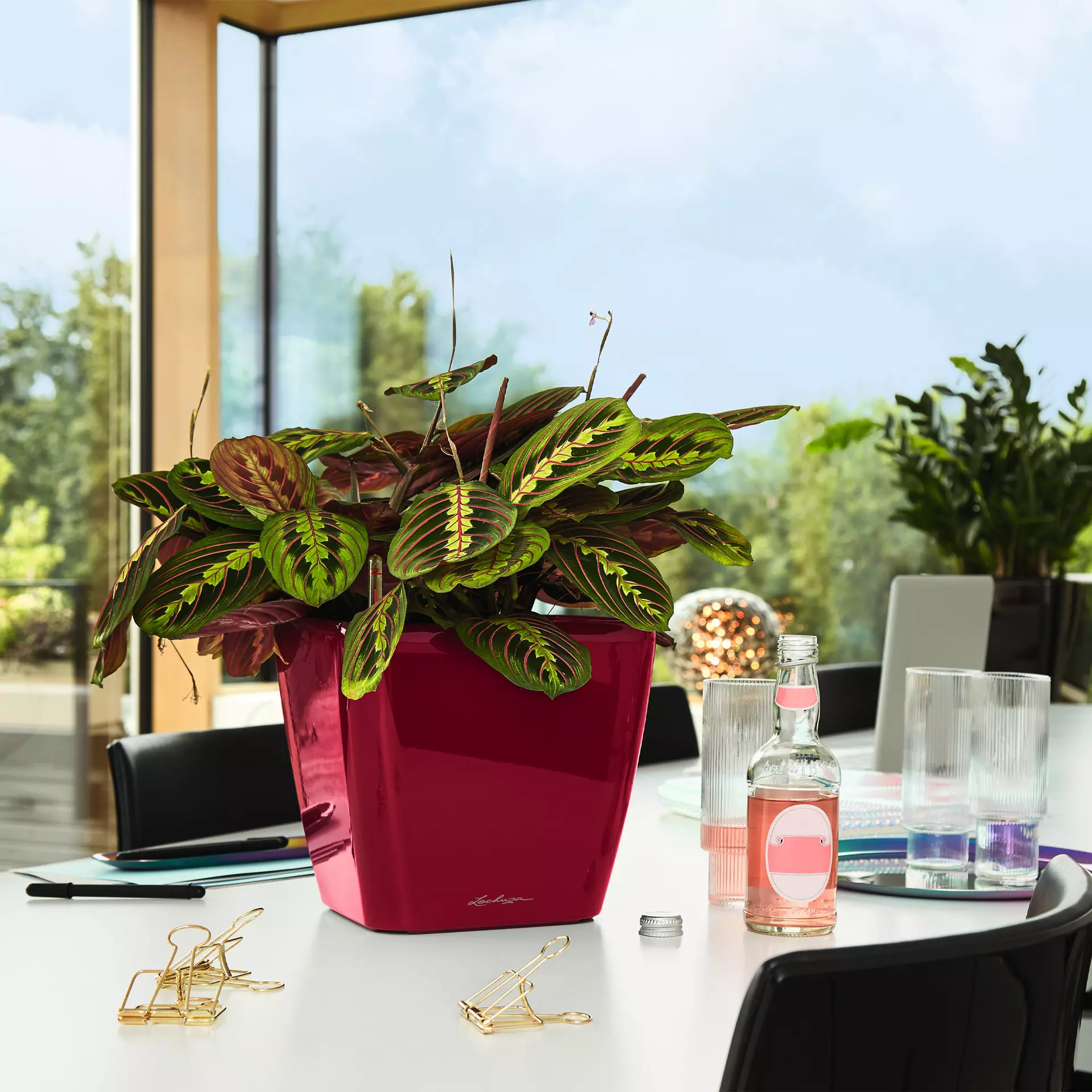 Lechuza Quadro LS 35 Black High-Gloss - Image 7