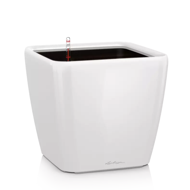 Lechuza Quadro LS 35 White High-Gloss