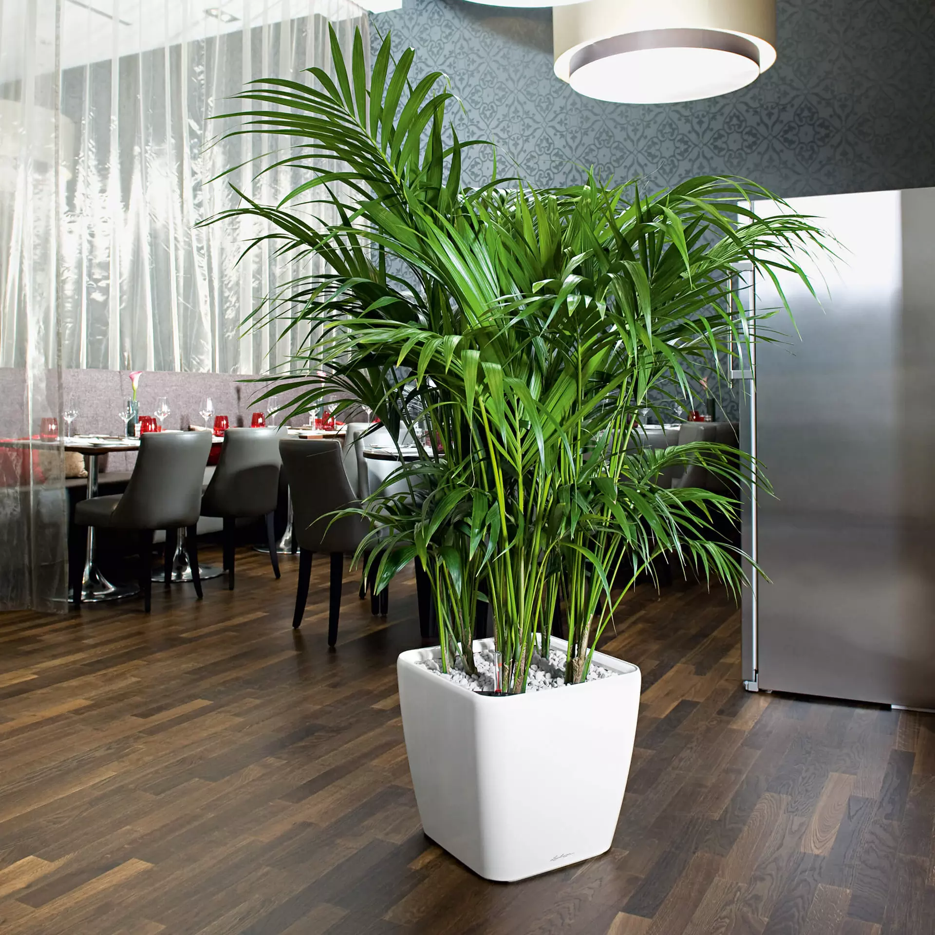 Lechuza Quadro LS 43 Charcoal Metallic - Image 6