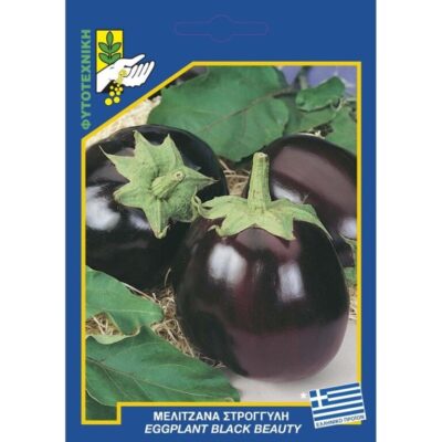 Μελιτζάνα στρογγυλή