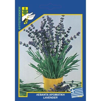 Λεβάντα αρωματική