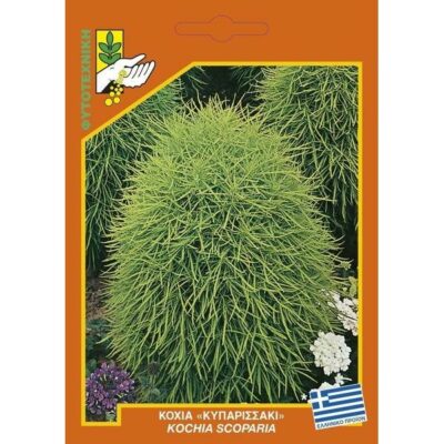 Κόχια "κυπαρισσάκι"