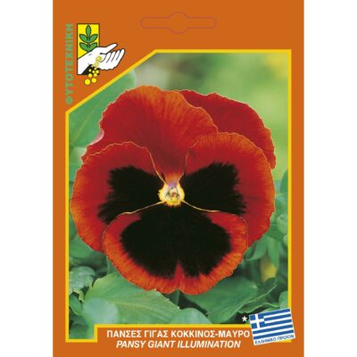 Πανσές γίγας κόκκινο-μαύρο