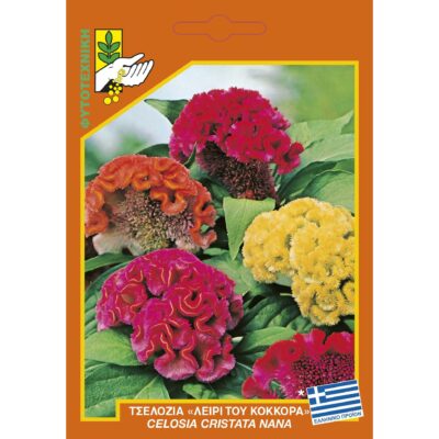 Τσελόζια λειρί του κόκορα