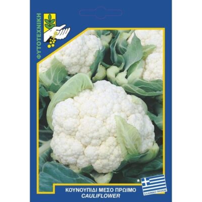 Κουνουπίδι