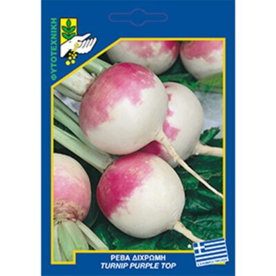 Ρέβα δίχρωμη