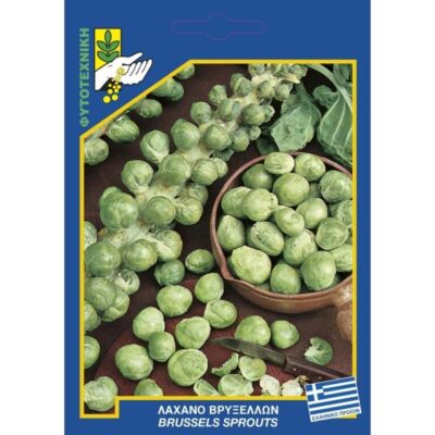 Λάχανο Βρυξελλών