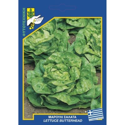 Μαρούλι σαλάτα