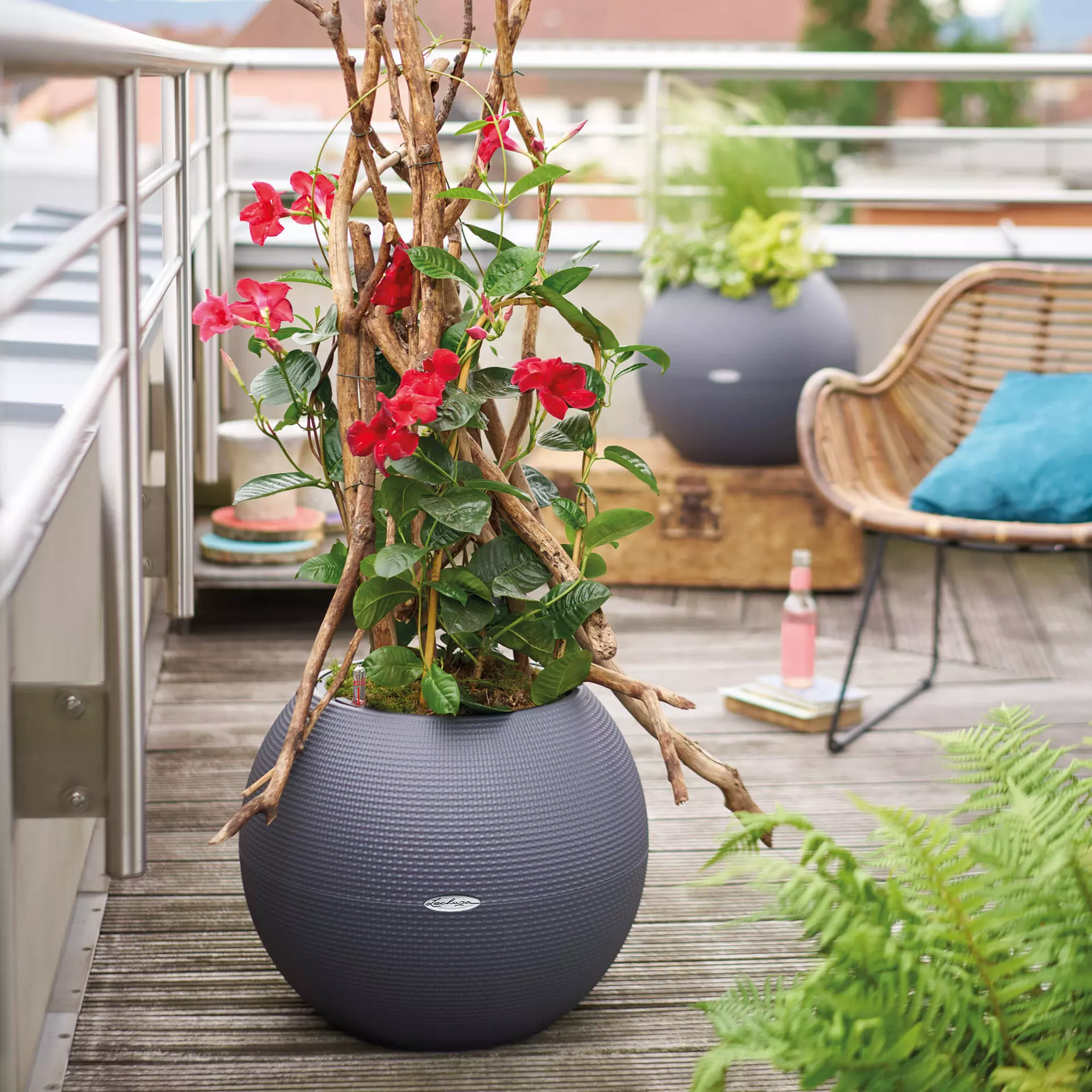 LECHUZA-PURO Color 50 slate - Image 5