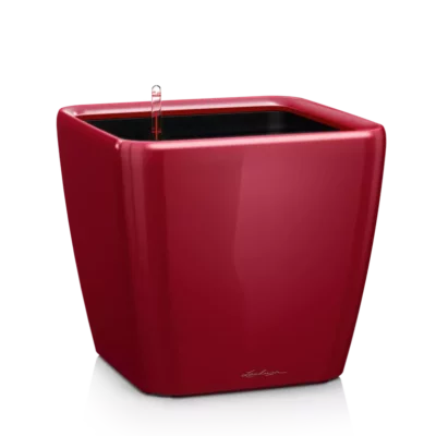 Lechuza Quadro LS 21 scarlet red high-gloss