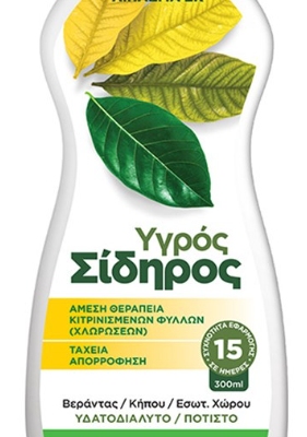 Gemma Υγρός σίδηρος 300 ml