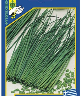 Σχοινόπρασσο