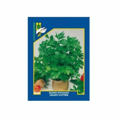 Σέλινο φυλλώδες