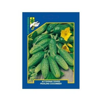 Αγγούρι τουρσί