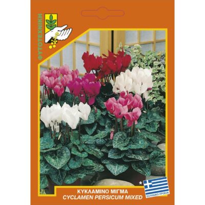 Κυκλάμινο μίγμα