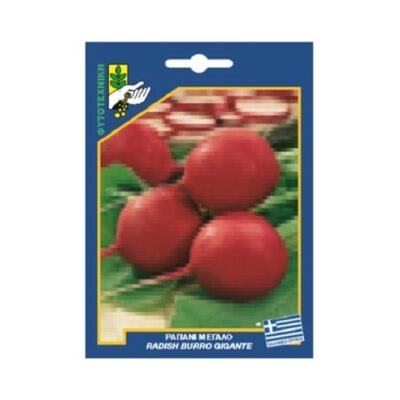 Ραπανάκι μεγάλο