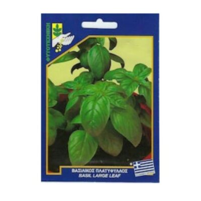 Βασιλικός πλατύφυλλος