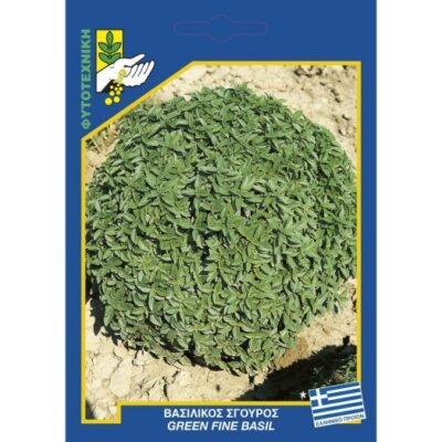 Βασιλικός σγουρός