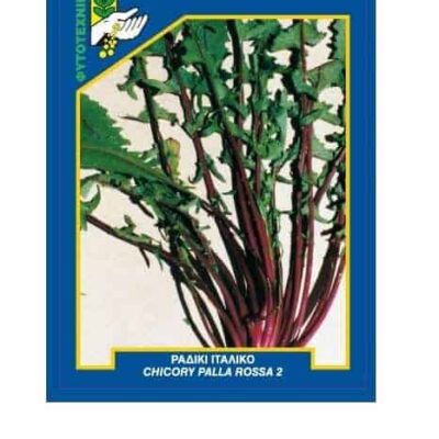 Ραδίκι ιταλικό