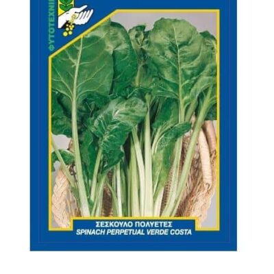 Σέσκουλο πολυετές