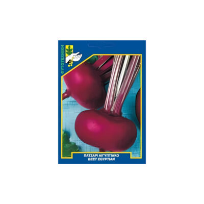 Παντζάρι αιγυπτιακό