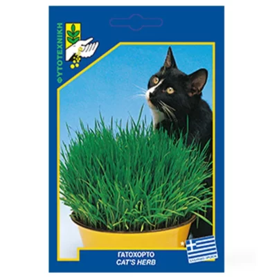 Γατόχορτο