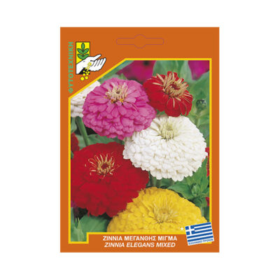 Ζιννία μεγανθής μίγμα