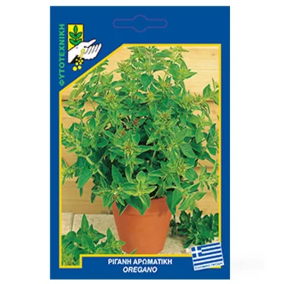 Ρίγανη αρωματική