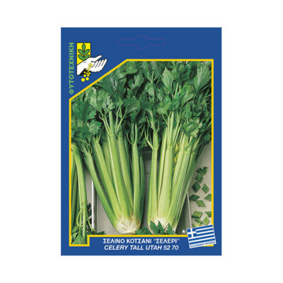 Σέλινο κοτσάνι "σέλερι"