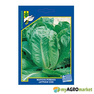 Μαρούλι ρομάνα