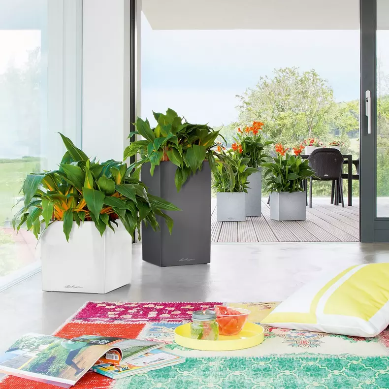 Lechuza Canto Premium 40 high charcoal metallic - Image 5