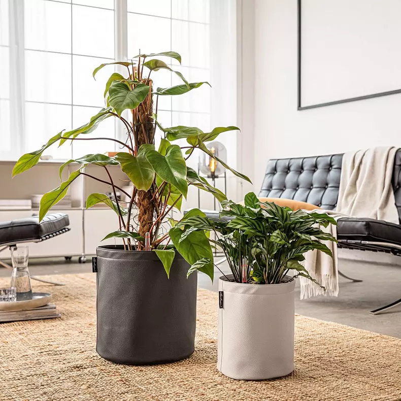 Lechuza Trendcover 23 cream - Image 5