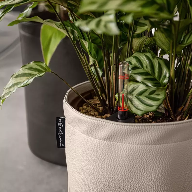 Lechuza Trendcover 23 cream - Image 4