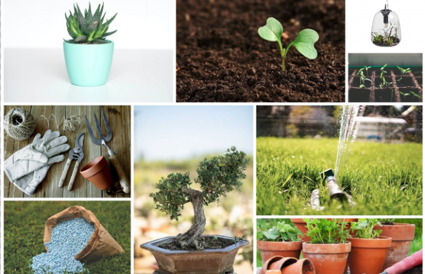 Screenshot from 2021-01-12 13.24.18