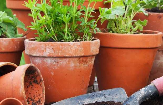 ezgif.com-webp-to-png(2)