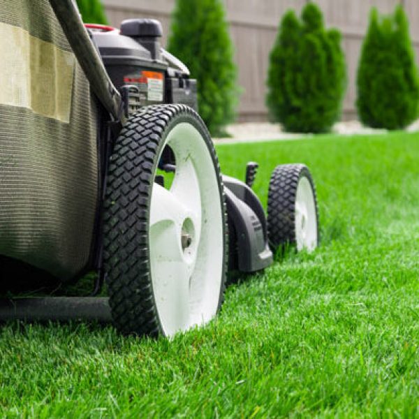 mowing